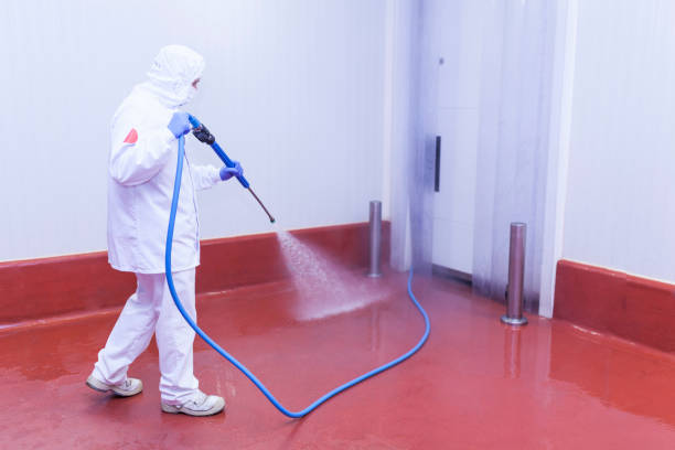 Best Paint Preparation  in Yamhill, OR